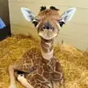 donnafeltner129 - @donnafeltner129 - TikTok
