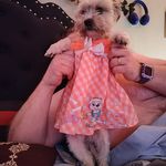 Donna Feltus - @dfeltus55 - Instagram