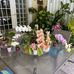 Donna Valdes - Facebook