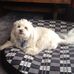 Donna Fenwick - Facebook
