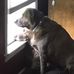 Donna Falls Ferrante - Facebook
