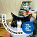 Donna Ferrantino - Facebook