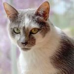Donna Fiander - @hisprincess42069 - Instagram