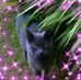 Donna Fiander - Facebook