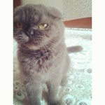 Donna Fifield - @hoonixty - Instagram