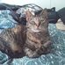Donna Fifield - Facebook