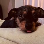 Donna Finan - @donna.finan - Instagram
