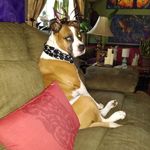 Donna Findlay - @yogi21052 - Instagram