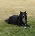 Donna Findlay - Facebook