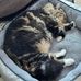 Donna Findlay - Facebook