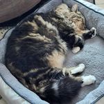 Donna Findlay - @donna_findlay62 - Instagram
