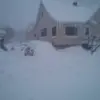 Donna Effinger - @donna.effinger - TikTok