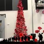 Donna Fisk - @donna.fisk.5 - Instagram