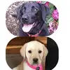 Donna Fisk - @donnafisk65 - TikTok