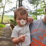 Donna Fitchett - @donna.ashcraft.12327 - Instagram
