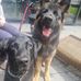 Donna Flack - Facebook