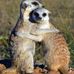 Donna Fleming - Facebook