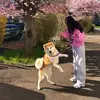 donna_fleming - @donna_fleming3 - TikTok