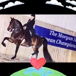 Donna Smith Fleming - @donnafleming6390 - Instagram