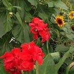Donna Folk - @folk.donna - Instagram