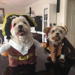 Donna Foote - @foote62 - Instagram