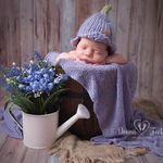 Donna Foote Baby Photography - @donnafootephotography - Instagram