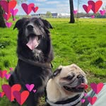 Donna Forde - @donnaf630 - Instagram