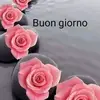 donna forte - @donna220320 - TikTok