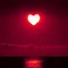 donnaforte123 - @donnaforte1234 - TikTok