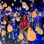Donna Frame - @donnaframe3 - Instagram
