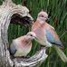 Donna Fulghum Cavanaugh - Facebook