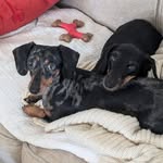 Donna Gabriel Skinner - @donnagabrielskinner - Instagram