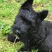 Donna Gadsby - Facebook