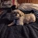 Donna Galloway - Facebook