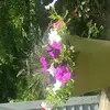 Donna Galloway - @donna.galloway8 - TikTok