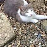 Donna Galloway - @galloway674 - Instagram