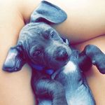 Donna Galloway - @donna.galloway.71619 - Instagram