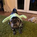 Donna Galvin - @donnajane05 - Instagram