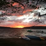 Donna Gammon - @donnalgammon - Instagram