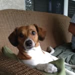 Donna Gammon - @donnagammon68 - Instagram