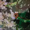 Donna Gannon - @donna.gannon0 - TikTok