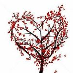 Donna Gardiner - @gardiner1331 - Instagram