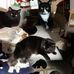Donna Garmon - Facebook