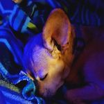 Donna Gaskins-grable - @gaskinsgrable - Instagram