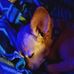 Donna Gaskins-grable - Facebook