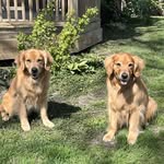 Donna Geiss - @donnageiss - Instagram
