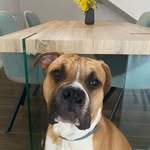 Donna Geiser - @crepetardaiz - Instagram