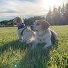 Donna Maillet-Gendron - @donna.mailletgend - TikTok