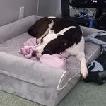 Donna Gerace - @dg9720 - Instagram