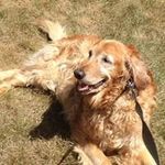 Donna Gerber - @djgerber88 - Instagram